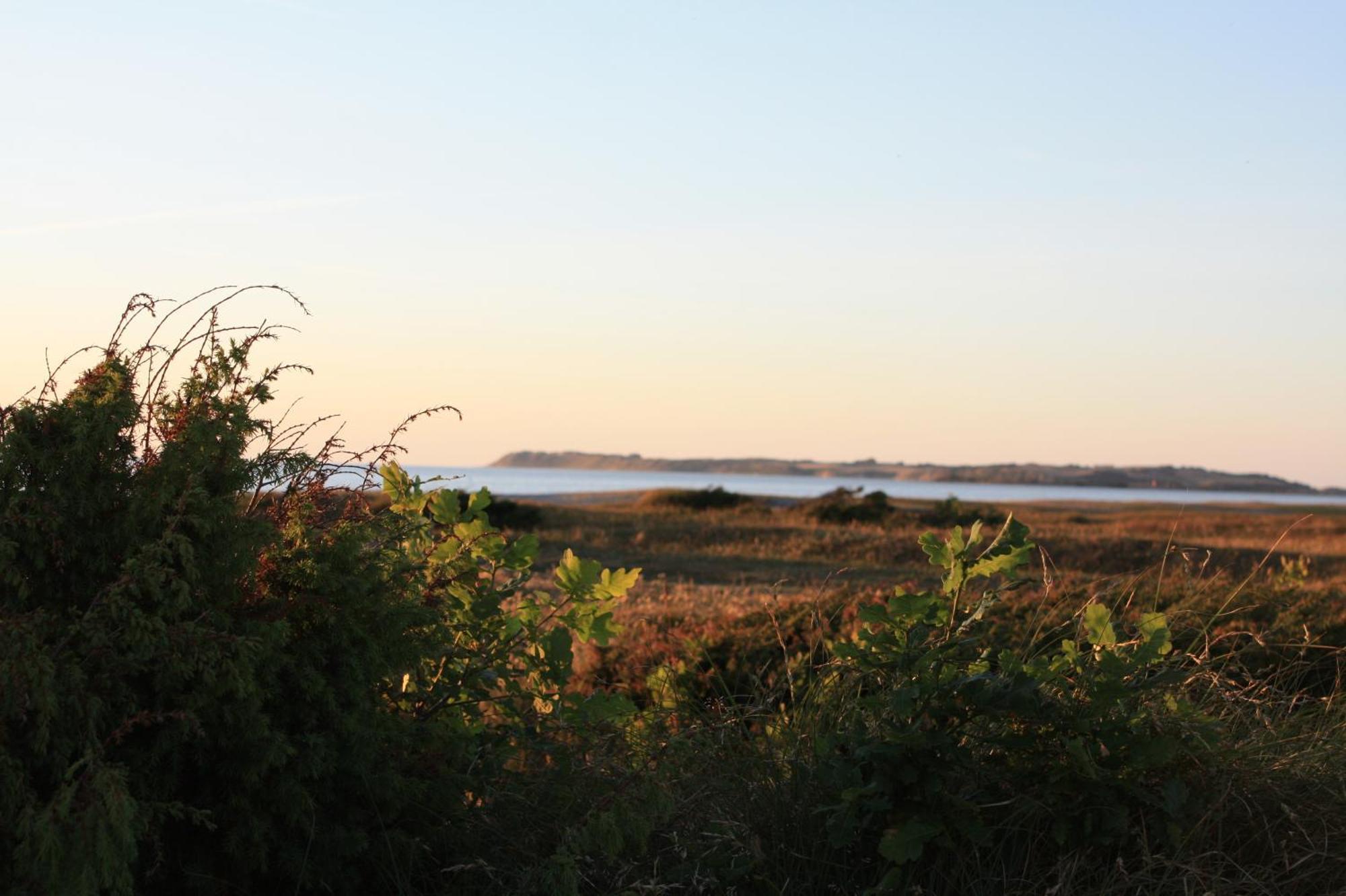 Vesterlyng Camping And Cottages Føllenslev Zewnętrze zdjęcie